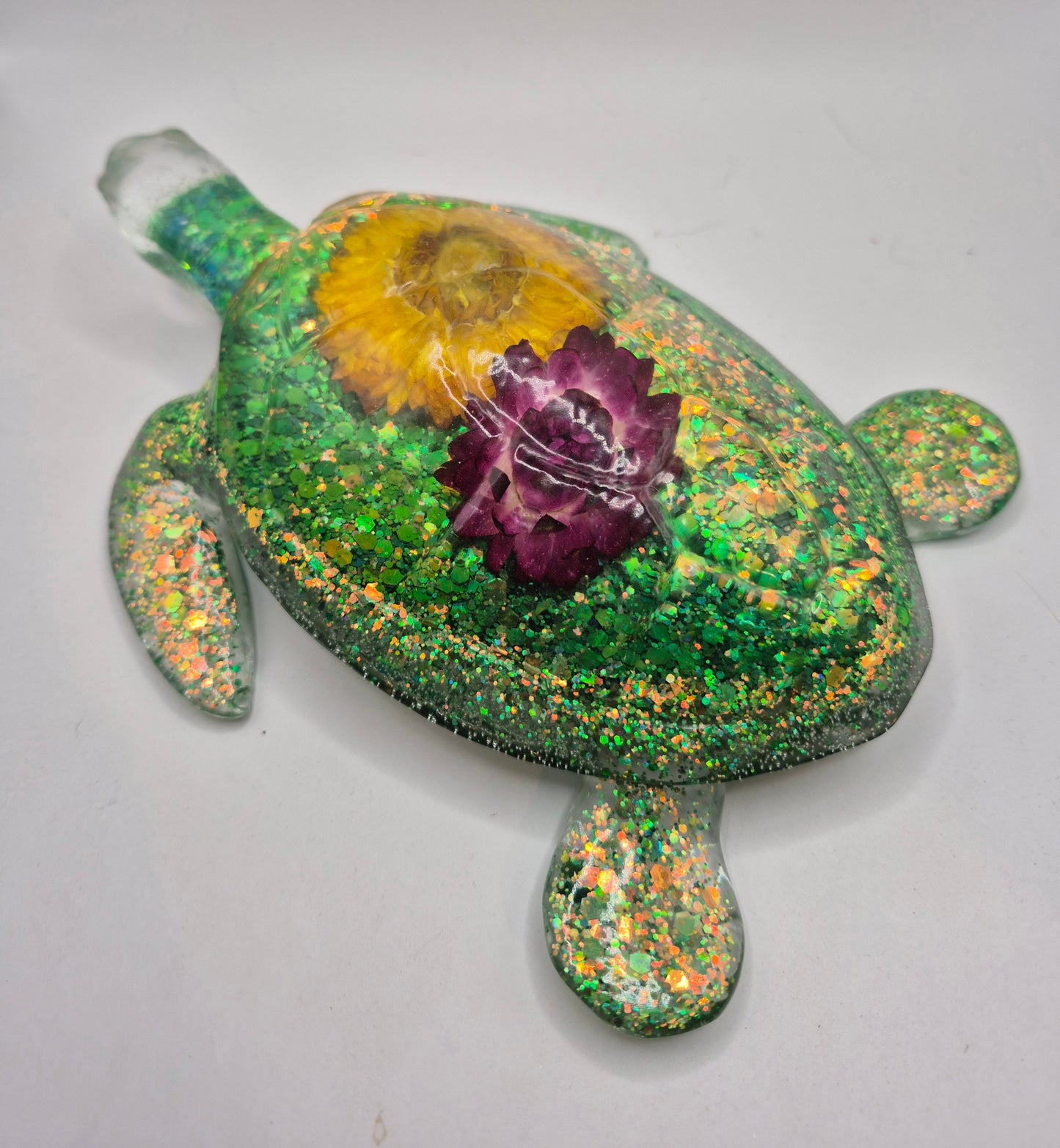 Floral Turtle