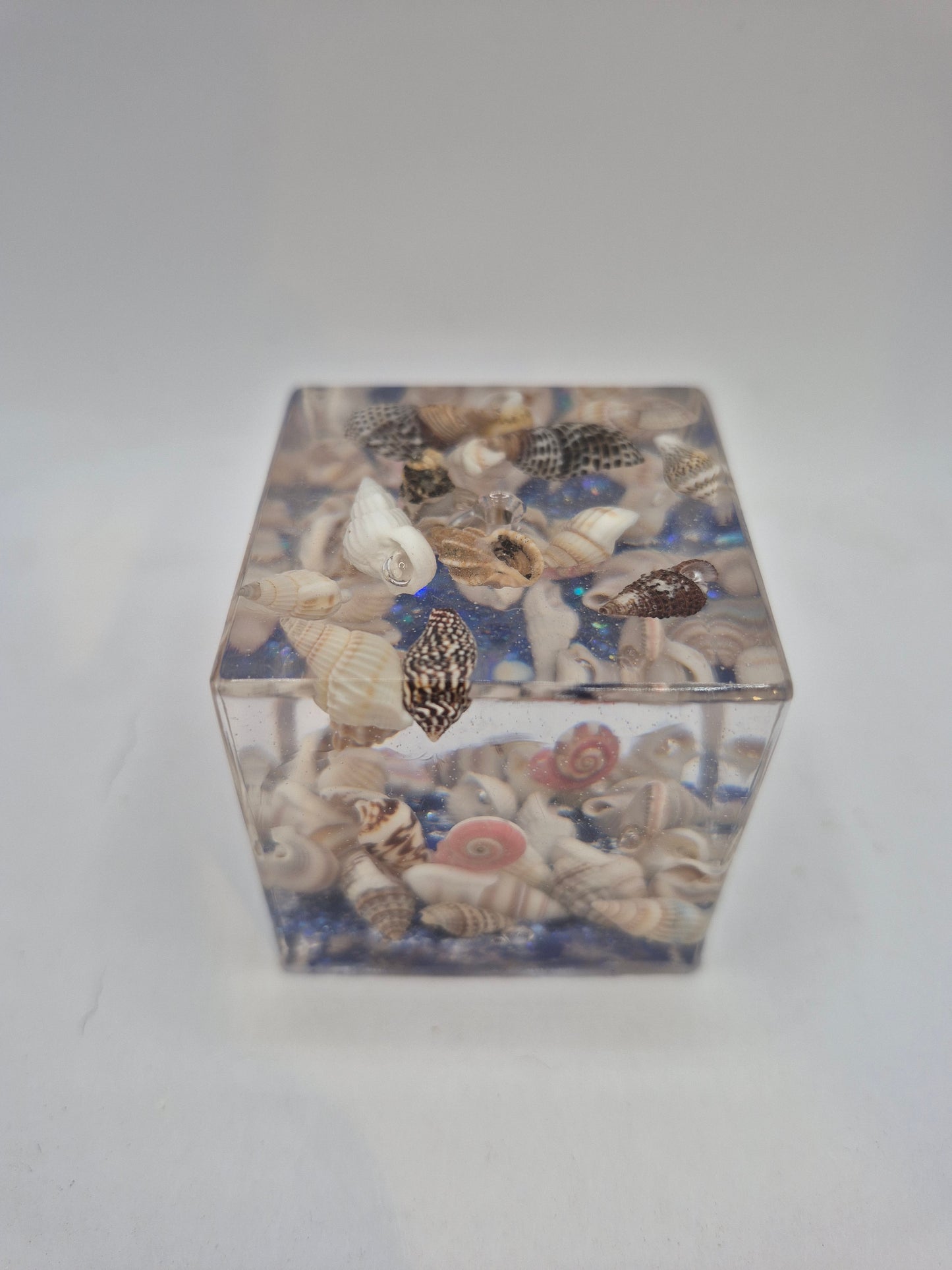 Shell Incense Holder