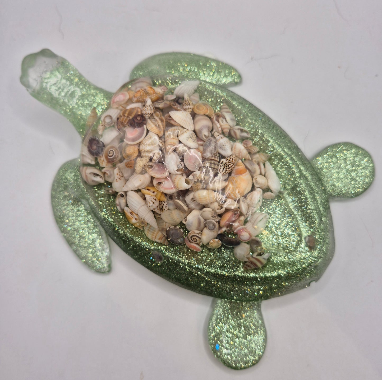 Shell Turtle