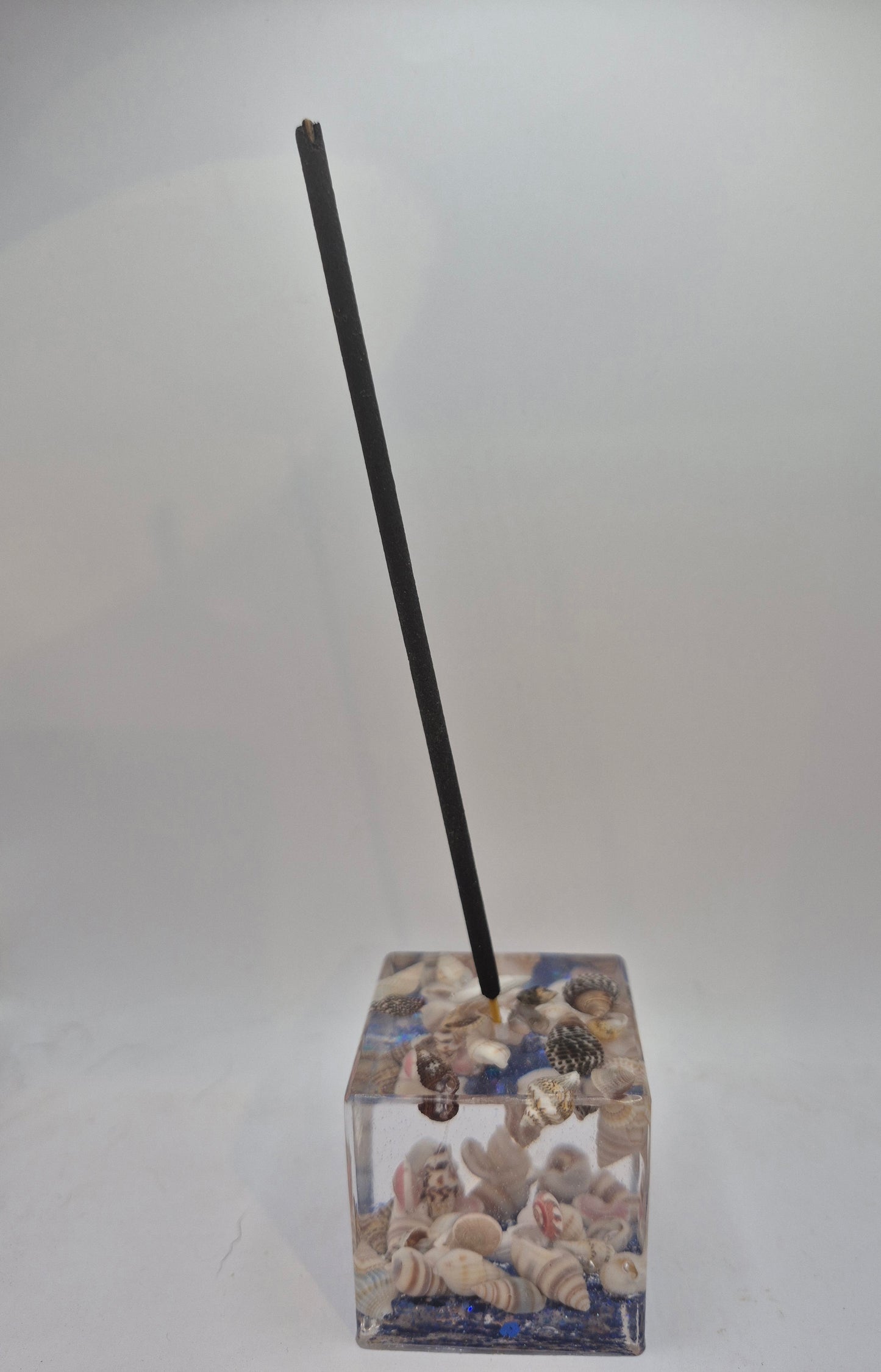 Shell Incense Holder